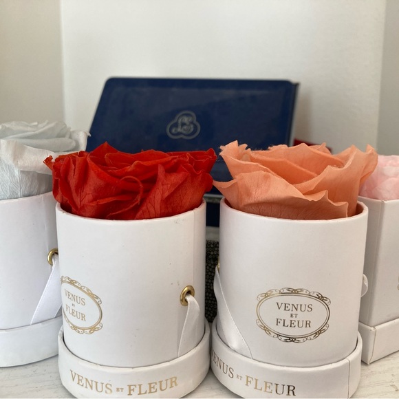 Venus Et Fleur | Set of 4 Le Petite flowers - Picture 1 of 9